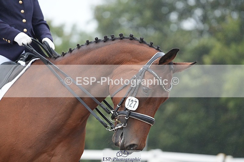 250907-143619-07811 - 127-Kathryn.LittleQuietly.Does.It