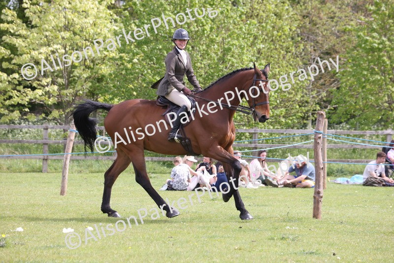 20260426-4341 - Class 34 - Best Riding Horse Over 14.2hh
