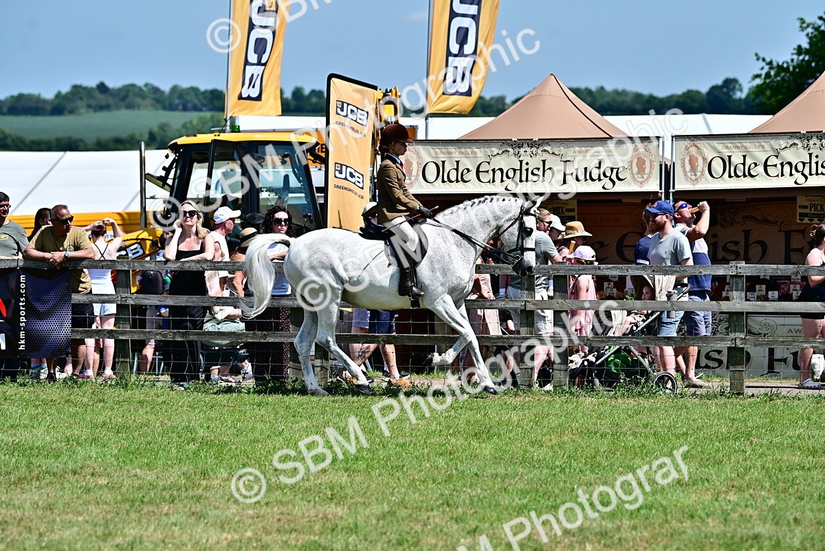 SBM_15365 - Class 95-97 - BSPS LHS Performance Ponies