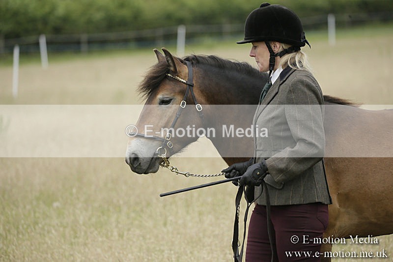 B230619-0039 - Bourne Valley Riding Club Summer Show 23/06/19