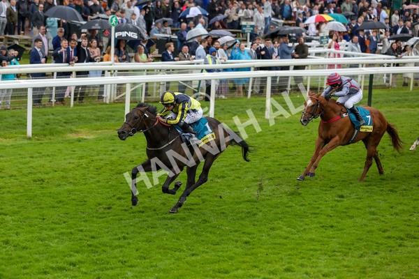 150624-Race 4-Jamess Delight-6152 - Race 4 3.35pm Churchill Tyres Supporting Macmillan Sprint Handicap