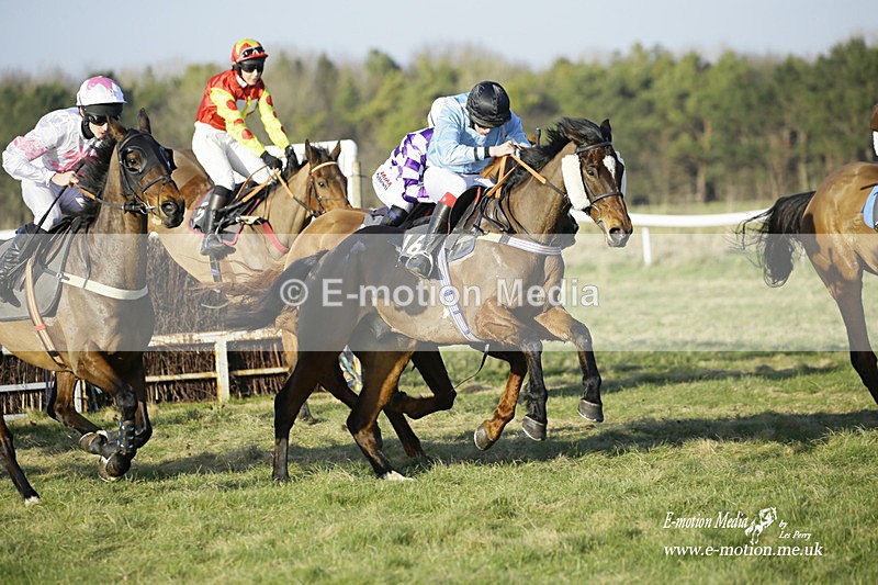 PtP 270222 512 - South & West Wilts Point-to-Point Larkhill 27/02/22