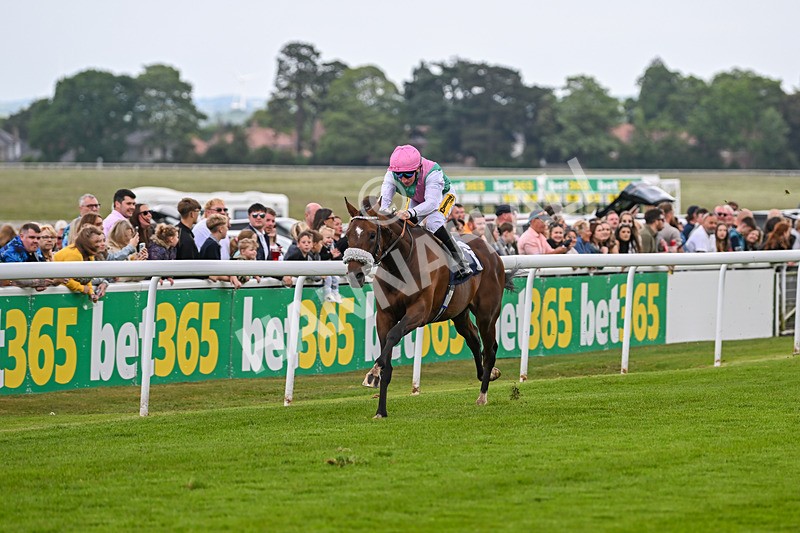 240525-Race 1-Tarriance-9589 - Race 1