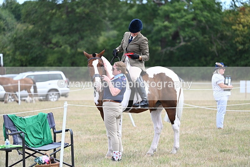 WJ7_5695 - Class 12 Ridden Cob