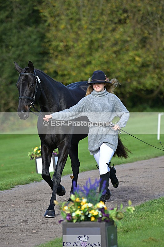 241023-130216-00036 - 002-Ellie.Fredericks-BRITANNIA'S.OLIVE