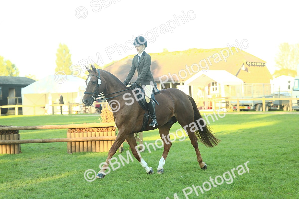 SBM_56449 - S14 - Riding Club Horse