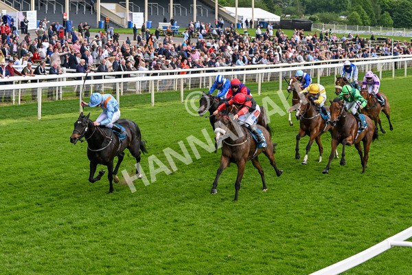 150524-Race 5-Diligent Resdev-4425 - Race 5 4.15pm Conundrum HR Consulting Handicap