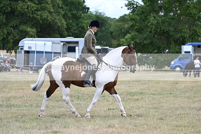 WJ7_4880 - Class 12 Ridden Cob
