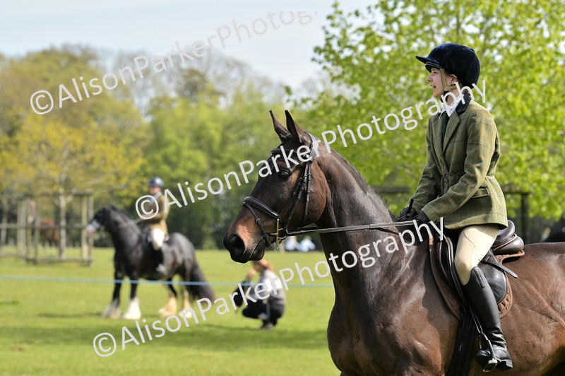 20260426-1161 - Class 19 - Retraining Of Racehorses