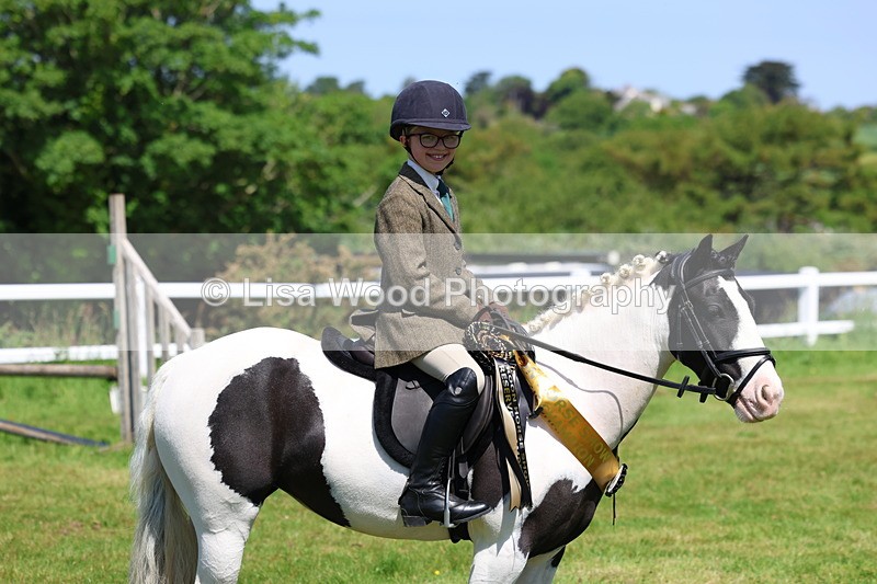 3E7A6831 - Working Hunter Pony Championship