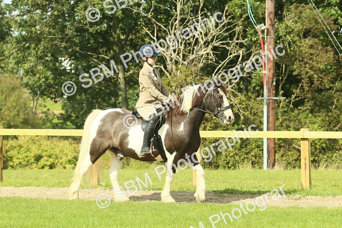 SBM_67392 - S56 - Coloured Pony Ridden
