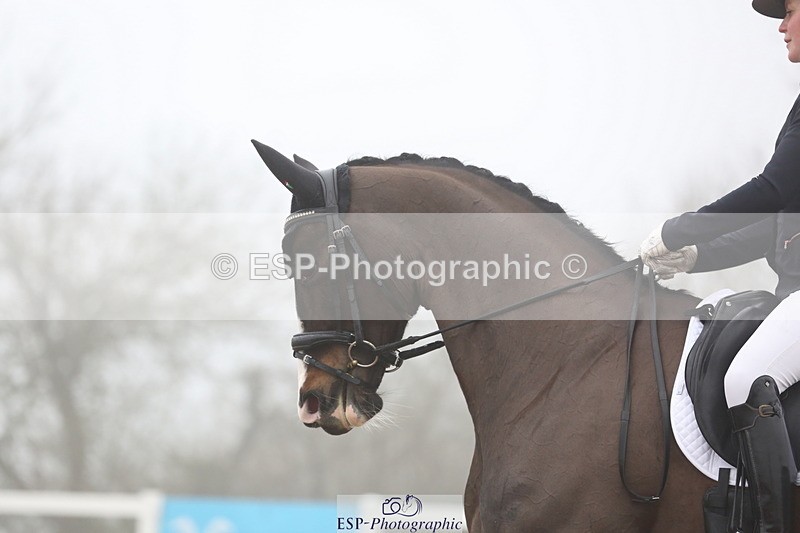 240217A-104212-01044 - 161-Katie.Warner-Active.Nuvalari