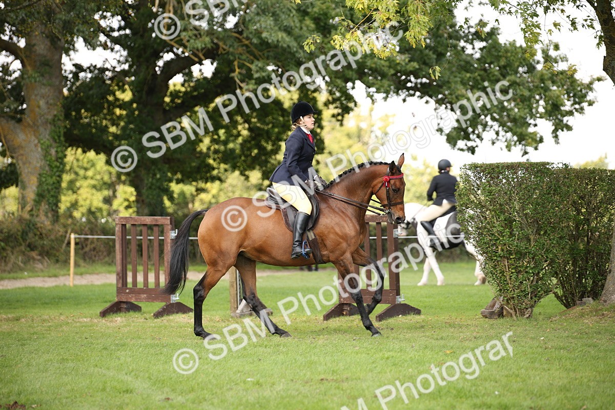 SBM_65928 - S64 - Riding Horse & Hack & Thoroughbred Ridden