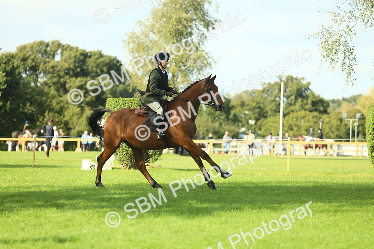 SBM_50556 - S33 - Working Hunter & Working Show Horse