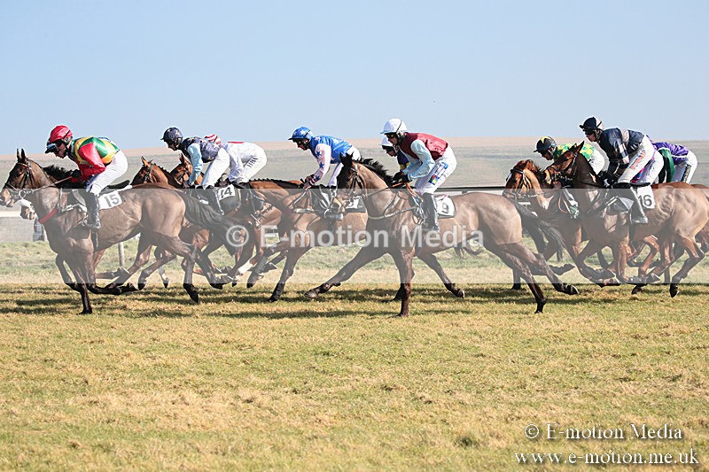 PtP 230219 62 - Vine & Craven Point-To-Point - Barbury 23/02/19