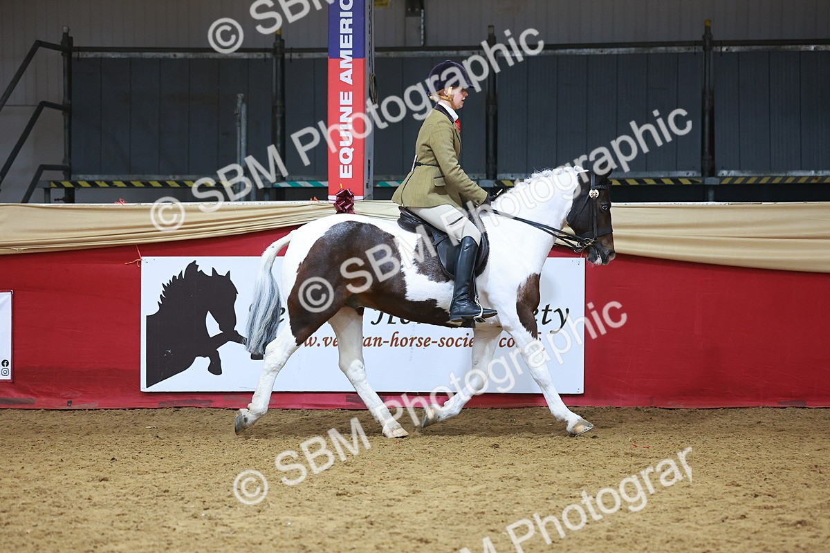 SBM_09395 - Class 102 - HOYS Veteran Qualifier - Ridden Veteran
