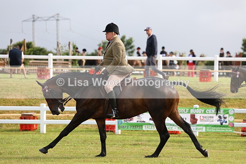 3E7A8104 - Class 2: Rising Star Large Hack/Riding Horse