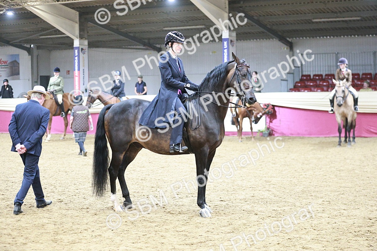 SBM_03356 - Class 6A Area Ridden Pre-Vet