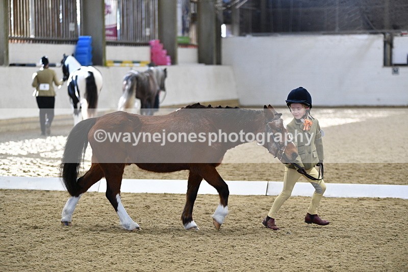 WJ5_3766 - Class 5 In Hand Veterans