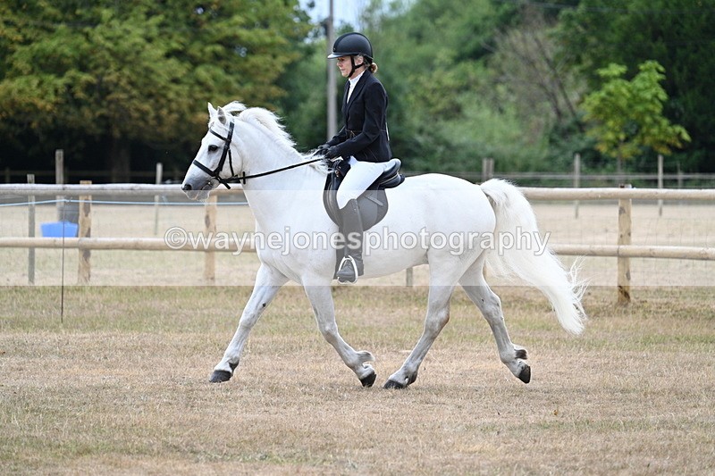 WJ7_0341 - Class 6 Ridden Mountain and Moorland