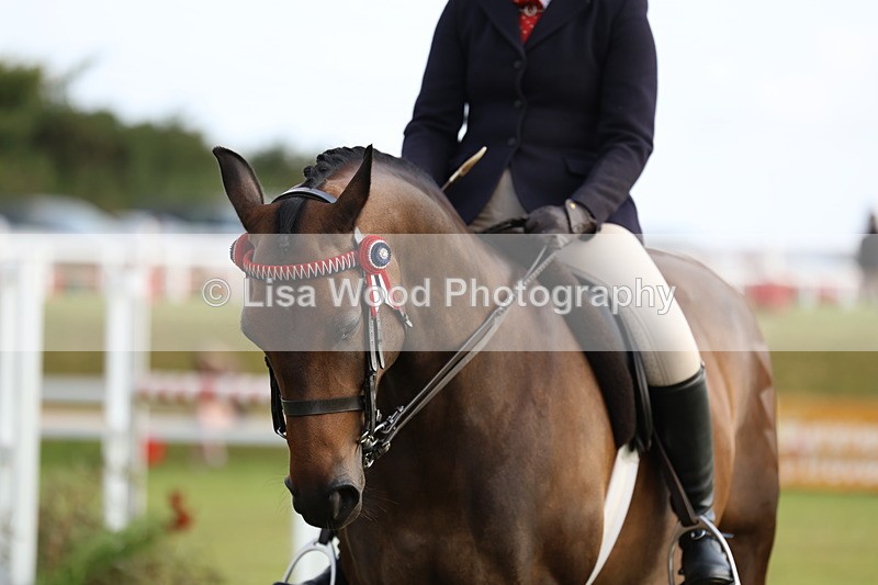 3E7A7787 - Class 1: Rising Star Small Hack/Riding Horses