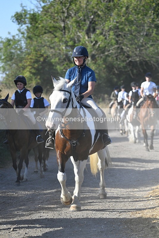 WJ5_4938 - Walk out with the hounds