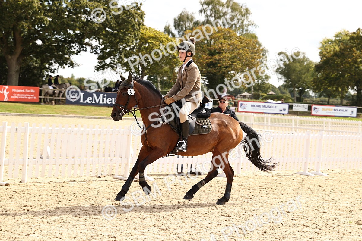 SBM_64301 - Supreme Championship - AM