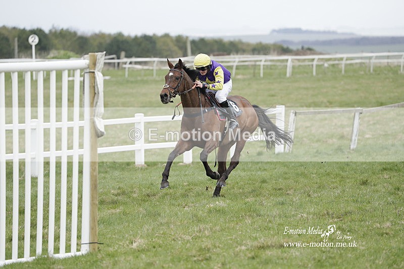 PtP 260323 0845 - New Forest Hounds Point-to-Point Larkhill 26/03/23