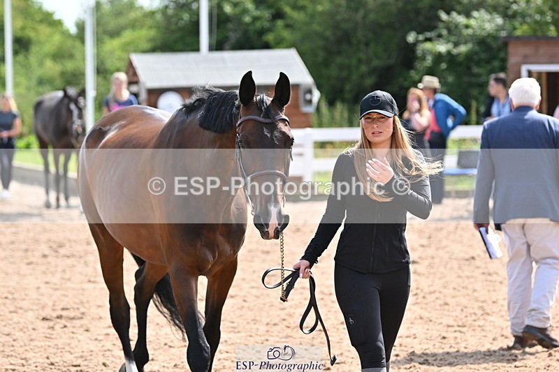 240717A-154124-02982 - Trot Up 3pm to 4pm