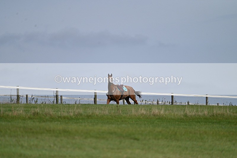 WJ7_7509 - Time 13:21 to 13:29