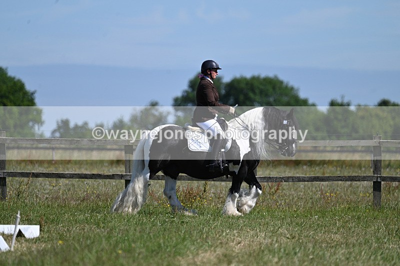 WJ7_8252 - Time 10:04am to 10:19am
