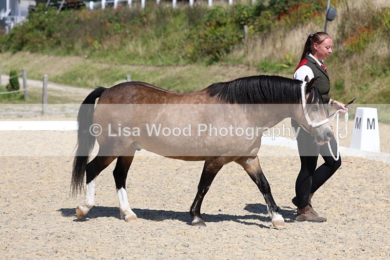 3E7A9535 - Class 32: Best Grass Kept