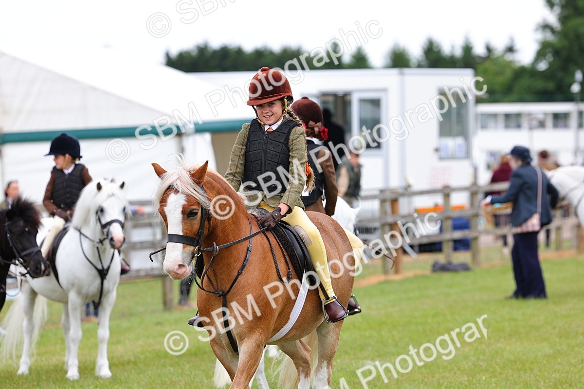 SBM_08734 - Class 42-43 - LIHS BSPS Heritage Working Sports Pony