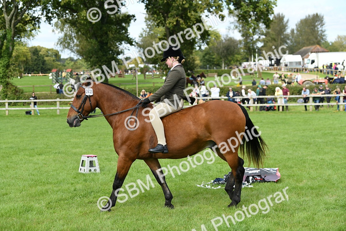 SBM_46875 - S12 - Family Horse & Pony