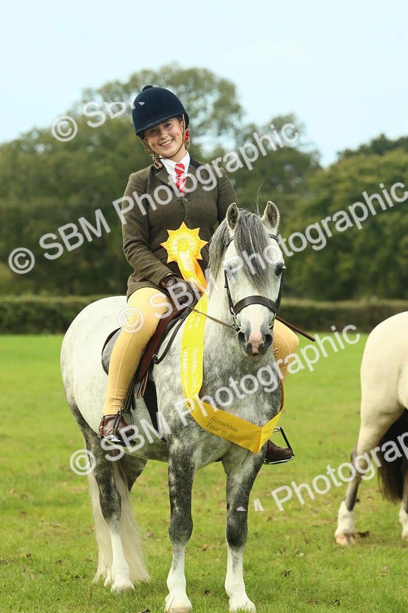 SBM_70030 - S59 - Mountain & Moorland Ridden Small Breeds