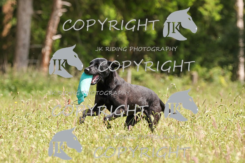 2R6A8811 - 28 Liz