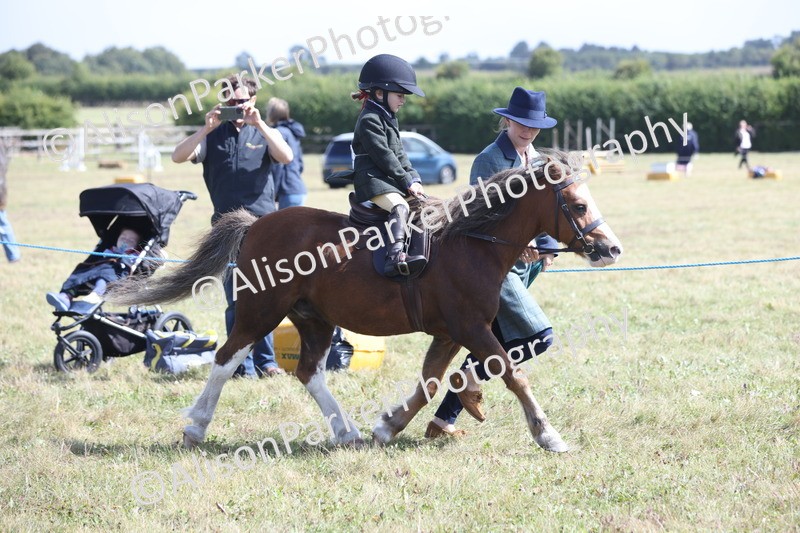 20250831-2806 - Class 18 - Childs First Pony