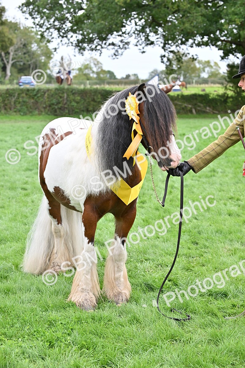 SBM_65041 - In Hand Pony & Younstock Supreme Championship