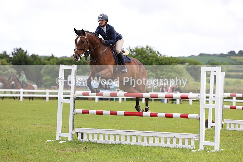 3E7A7130 - Class 12: Senior Foxhunter/1.20 open