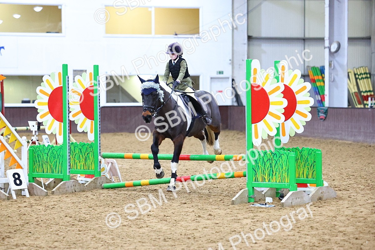 SBM_001466 - Class 3 - Christmas Tree Stakes - 60cm