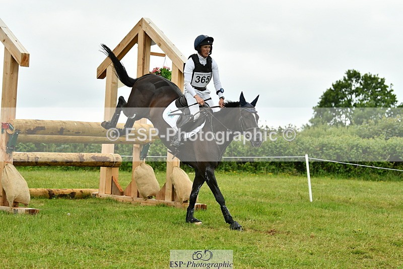 250524A-131231-10519 - B-365-Tom.McEwen-MAESTRO