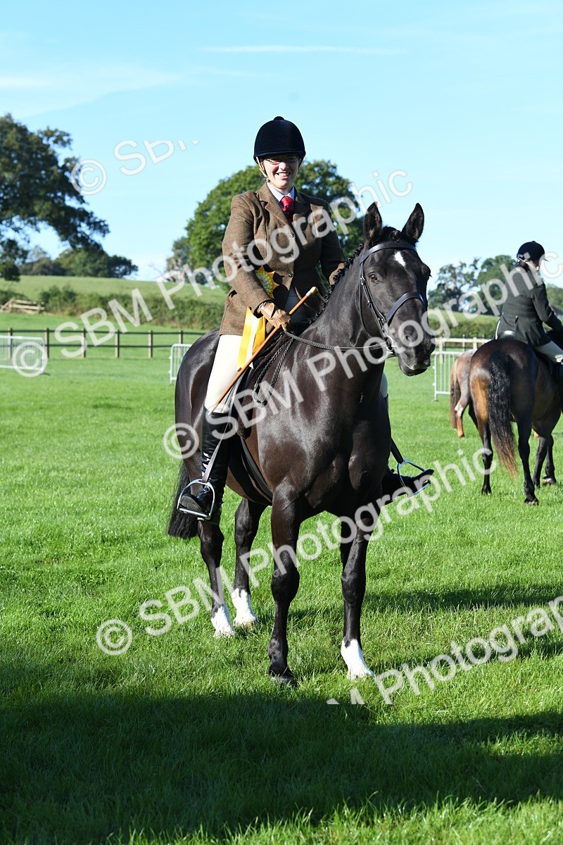 SBM_34113 - S16 - Condition & Turnout - Ridden