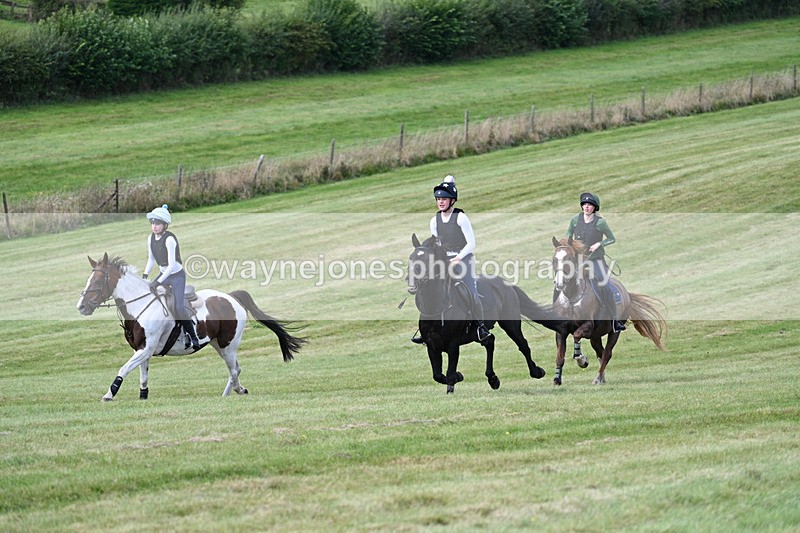 WJ7_6464 - Time 11:45 to 11:58