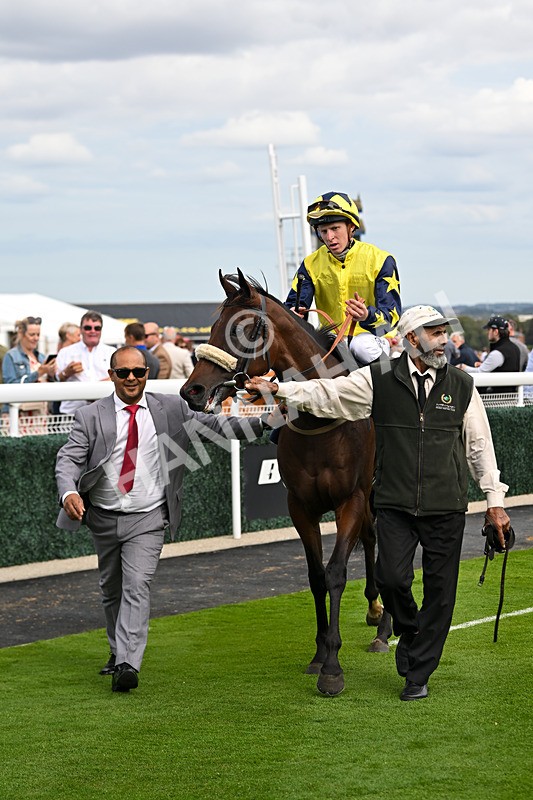 300825-Race 4-Lady Britain-1310 - Race 4