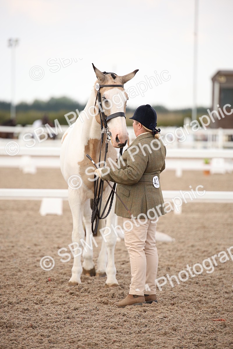 SBM_08253 - Class 27 - IH Competition Horse-Pony