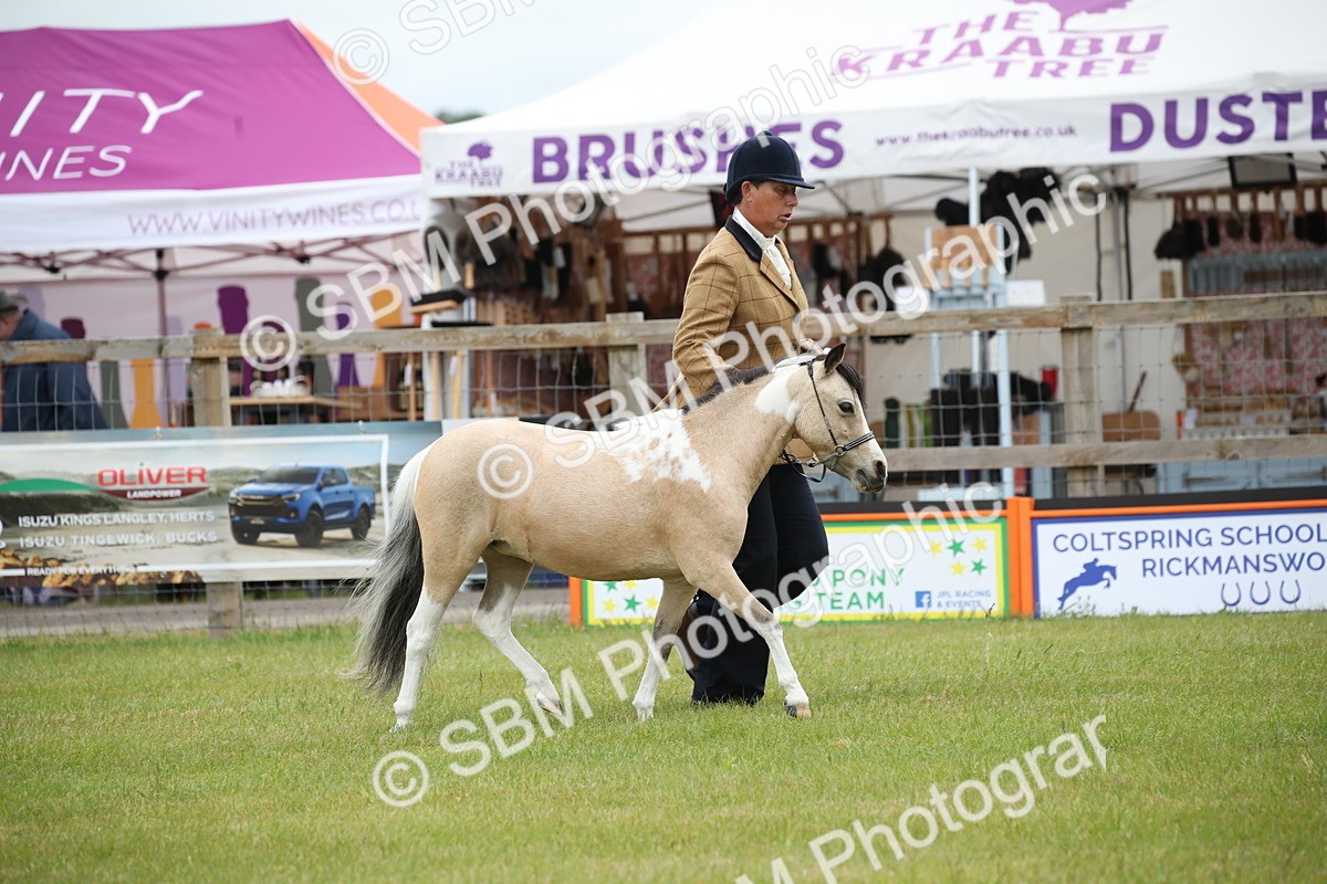 SBM_03934 - Class 23-25 - British Miniature Horse of the Year