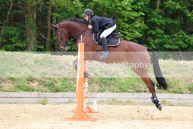 3E7A5984 - Class 4: Senior British Novice/90cm open