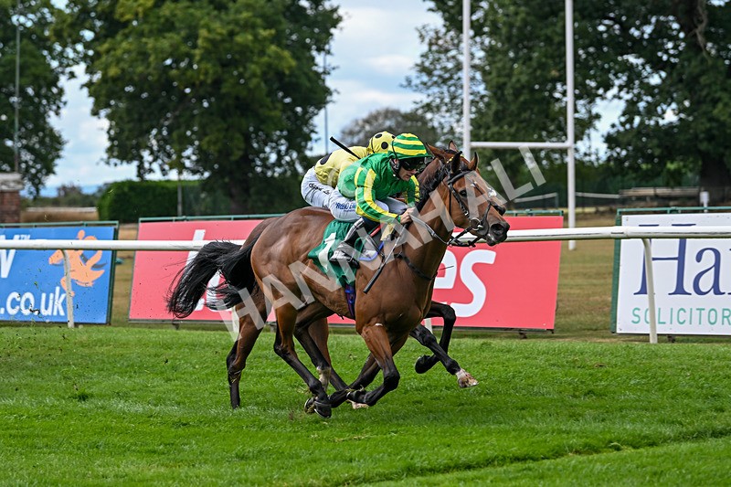 290825-Race 2-Brigids Well-8374 - Race 2