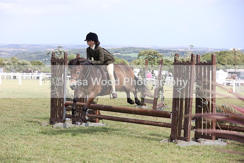 JPP_2020 - Class 19: Working Hunter 60cm