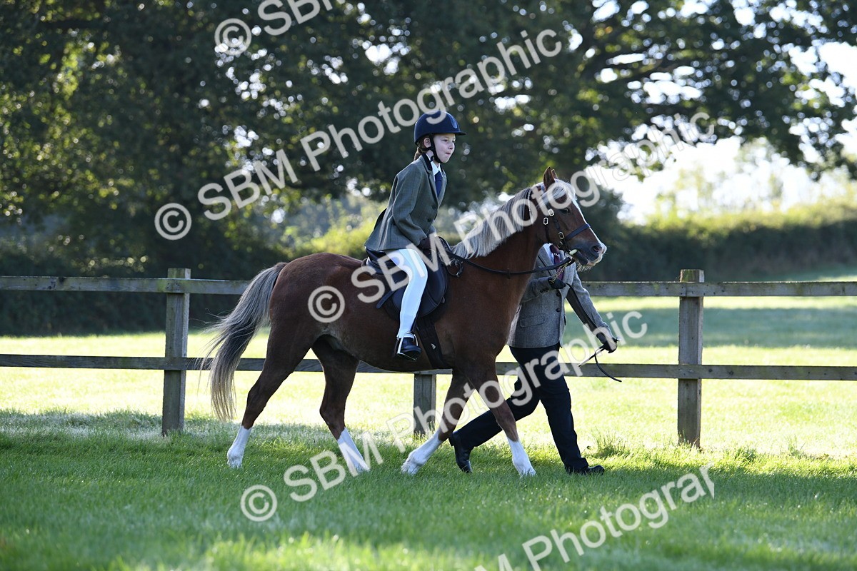 SBM_35356 - S17 - Condition & Turnout - Lead Rein